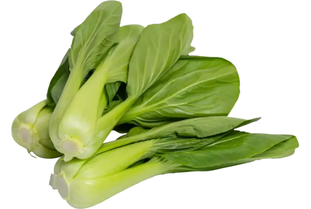 Mini Shanghai Paksoi verpakt 250gr kist 8 stuks